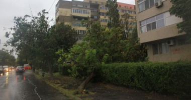 Galerie foto. Iată ce ravagii face furtuna în municipiul Constanța - 6