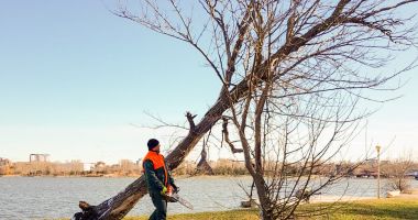 Stire din Social : Copacii rupți și înclinați în urma furtunii, tăiați în parcul Tăbăcărie