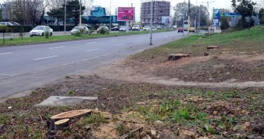 Constanța, vândută bucată cu bucată! Blocuri pe spații verzi și supermarketuri în parcări! - 3