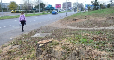 Constanța, vândută bucată cu bucată! Blocuri pe spații verzi și supermarketuri în parcări! - 4