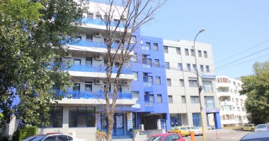 Stire din Social : Cum lasă Primăria Constanța copacii uscați la cheremul naturii dezlănțuite