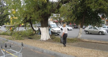 Stire din Social : Copaci care stau să cadă la prima furtună