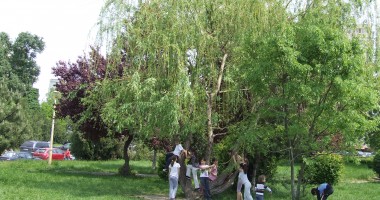Stire din Social : Vreme însorită și caldă, astăzi, pe litoral
