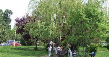 Stire din Social : Cum va fi vremea duminică, pe litoral