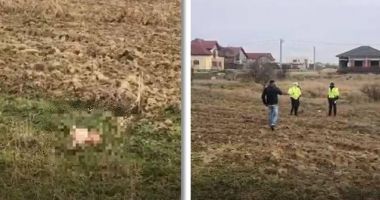 Cadavrul unui nou-născut, găsit aruncat pe un câmp