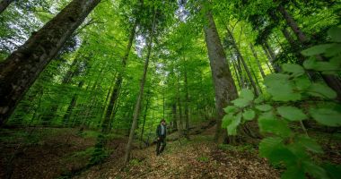 Stire din Actualitate : "Ai crezut că glumesc". I-a tras fiului de 9 ani un glonț în cap, apoi i-a ascuns cadavrul într-o pădure