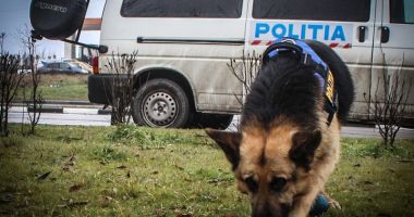 Copil dat dispărut după ce a plecat dintr-un centru de plasament din Constanța