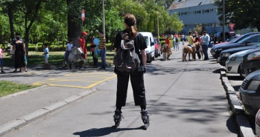 Invazie de țânțari la Constanța! Primăria spune că a stropit spațiile verzi - 6