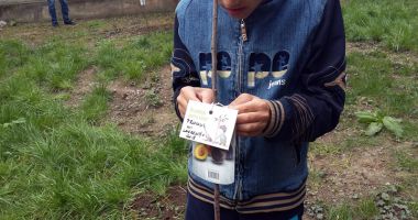 Proiectul "Un pomișor pentru viitor" a ajuns la cea de-a doua ediție - 2