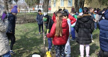 Stire din Social : Livadă de pomi fructiferi, plantată  de voluntarii cora City Park, alături de elevi