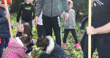 Livadă de pomi fructiferi, plantată  de voluntarii cora City Park, alături de elevi - 3
