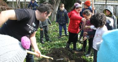 Livadă de pomi fructiferi, plantată  de voluntarii cora City Park, alături de elevi - 2
