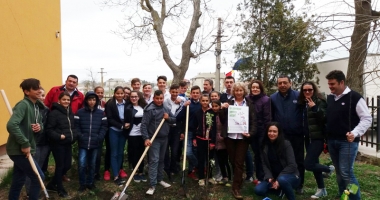 "Un pomișor pentru viitor".  cora România plantează  pomi fructiferi în școli - 2