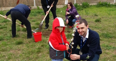 "Un pomișor pentru viitor".  cora România plantează  pomi fructiferi în școli - 4