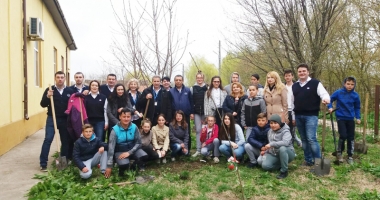 Stire din Social : "Un pomișor pentru viitor".  cora România plantează  pomi fructiferi în școli