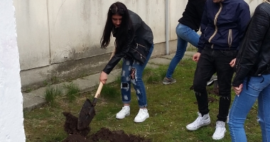 "Un pomișor pentru viitor".  cora România plantează  pomi fructiferi în școli - 6
