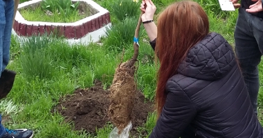 "Un pomișor pentru viitor".  cora România plantează  pomi fructiferi în școli - 7