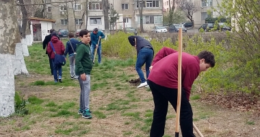 "Un pomișor pentru viitor".  cora România plantează  pomi fructiferi în școli - 9