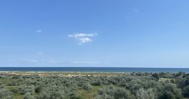 Plajele sălbatice de la Corbu, pe harta turismului românesc! „Există  potențial de a deveni staţiune!” - 3