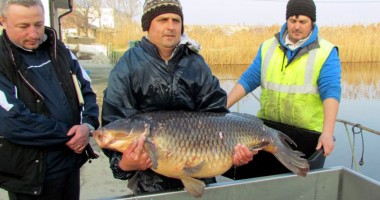 Stire din Sport : Lacul Corbu - carpodrom internațional!