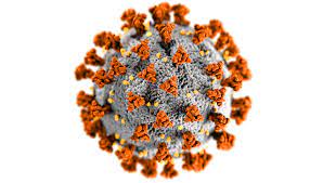 Stire din Social : Coronavirus Constanța: Câte cadre didactice și câți elevi s-au infectat