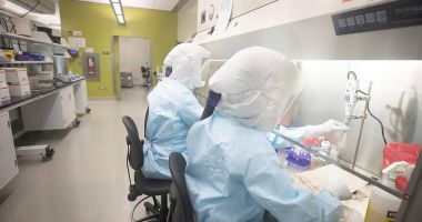 Stire din Actualitate : Coronavirus. Un tratament ar putea fi creat până în vară