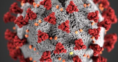 Stire din Social : Coronavirus: Situație actualizată la nivelul județului Constanța. 504 persoane sunt internate