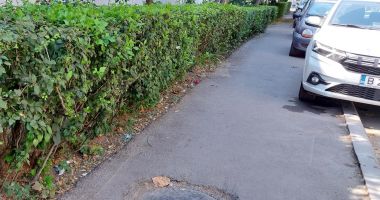 Constanța: coșuri de gunoi lipsă și multe străzi în paragină - 2