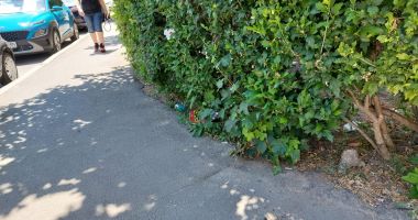 Stire din Social : Constanța: coșuri de gunoi lipsă și multe străzi în paragină