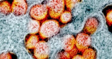 Crește numărul bolnavilor infectați cu noua tulpină a Covidului