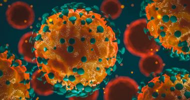Stire din Social : Coronavirus Constanța: Câte persoane au fost infectate