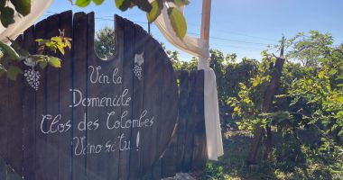 Relaxare, vinuri şi poveşti, toate la crama „Clos des Colombes” din localitatea 23 August - 4