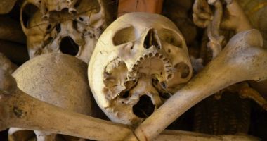 Stire din Actualitate : Fiul unei românce din Italia, obligat să stea ani de zile printre schelete și cranii. Ce a pățit tatăl abuziv