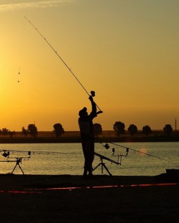 Peste zece tone de crap capturate pe lacul Corbu - 2