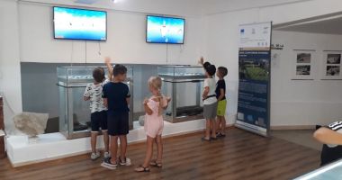 Stire din Cultură-Educație : Expoziţii interactive şi şcoală de vară pentru elevi la Muzeul de Arheologie Callatis