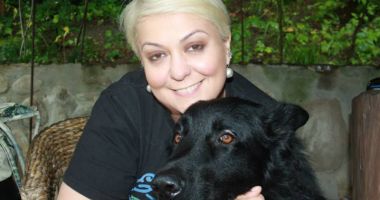 Stire din Diverse : "Cred că ar trebui reglementată legea împotriva violenței asupra animalelor"