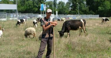 Stire din Economie : Credite pentru crescătorii de animale