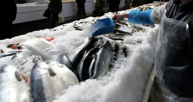 Stire din Actualitate : Cremă de păstrăv, retrasă de la vânzare după ce a fost depistată cu o bacterie periculoasă