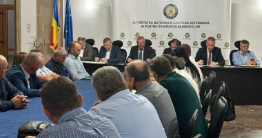 Stire din Social : Specialiştii analizează permanent focarele rumegătoarelor mici