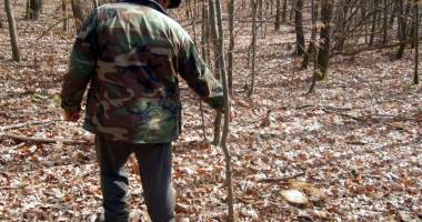 Stire din Economie : Crește numărul posturilor de control privind exploatarea pădurilor