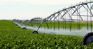 Stire din Economie : Crește suprafața agricolă irigată