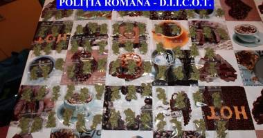 Stire din Eveniment : Bătălia cu drogurile. Capturi impresionate ale polițiștilor