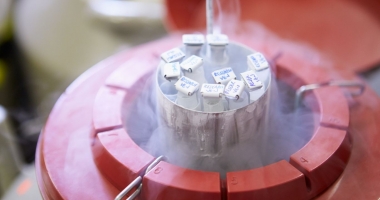 O șansă pentru viitor! Prezervarea fertilității prin crioconservare