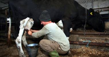 Criza din sectorul laptelui