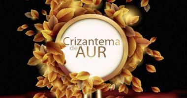 Stire din Social : Încep preselecțiile pentru festivalul "Crizantema de Aur"