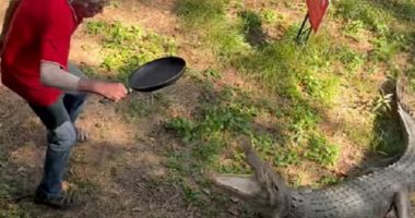 Stire din Actualitate : VIDEO: Un bătrân înarmat cu o tigaie s-a luptat cu un crocodil de 2,5 metri