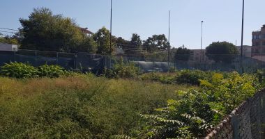 Stire din Sport : Mizerie și buruieni! Cum s-a transformat în "junglă" fabrica de campioni de la CSS 1