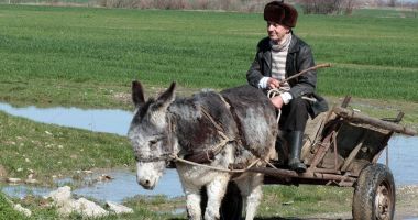Cu butoaiele în vamă
