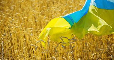 Stire din Actualitate : Culoare de solidaritate pentru a ajuta Ucraina să exporte produse agricole