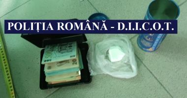 Cultură de cannabis, descoperită de poliţişti, la Cernavodă - 3